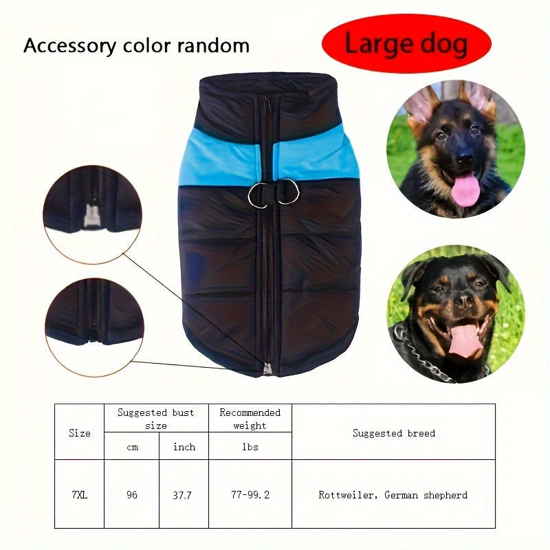 Windproof Winter Dog Jacket for Medium Breeds Polyester Zippered Warm Outdoor Apparel