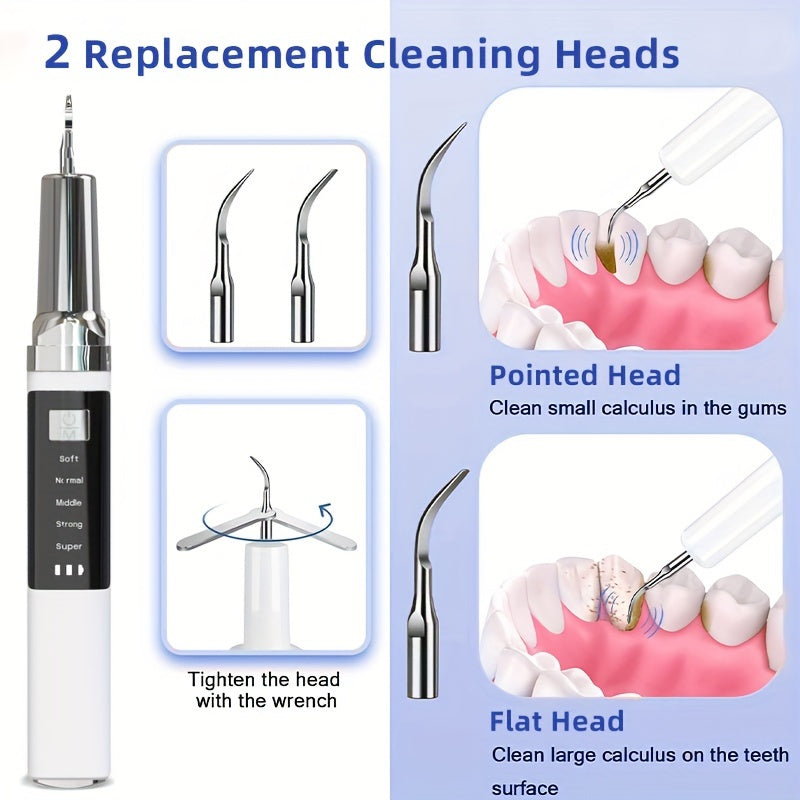 Portable Dental Cleaner With LED Lights Interchangeable Heads Tartar Removal