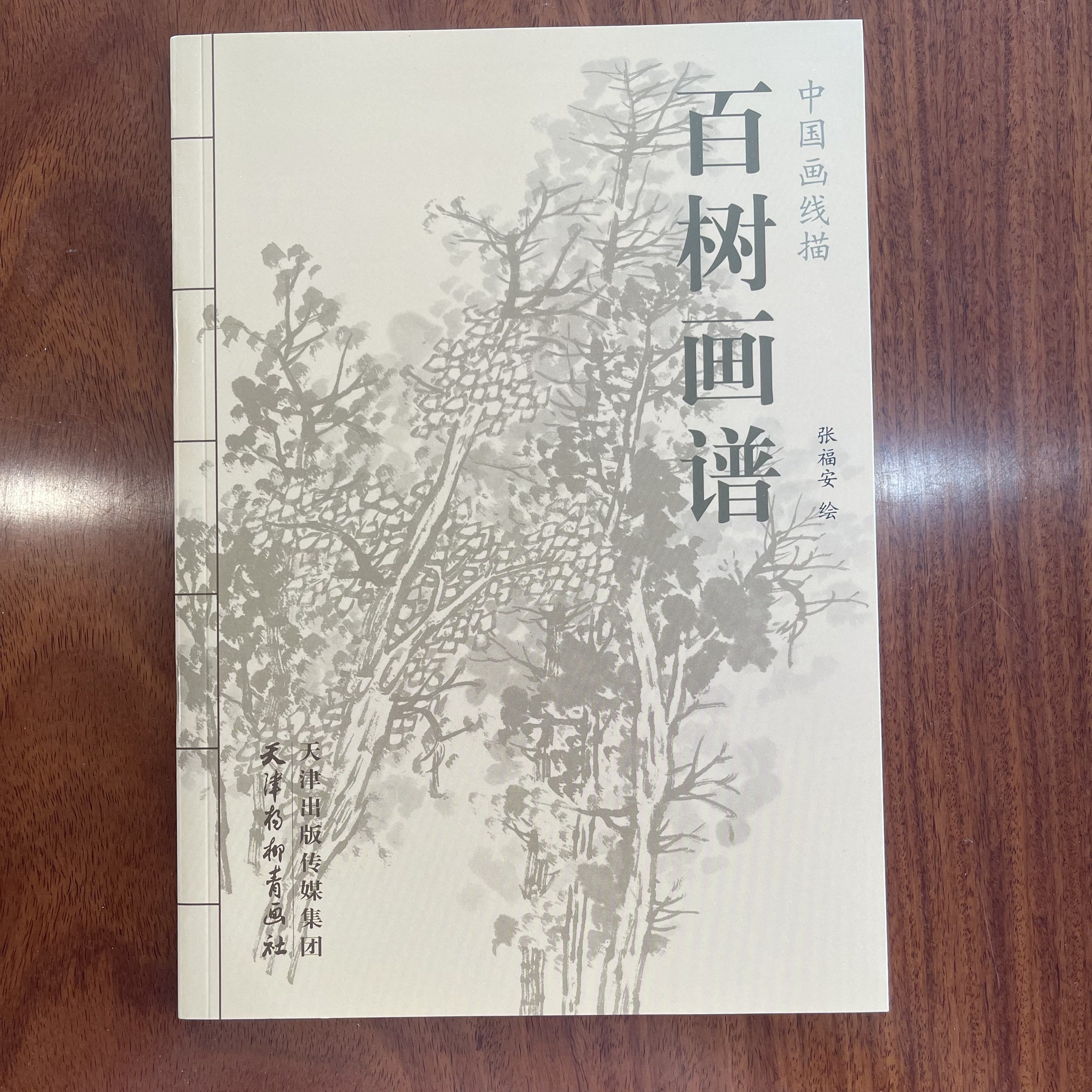 Chinese Ink Drawing Book of 100 Tree Line Art for Children Paperback
