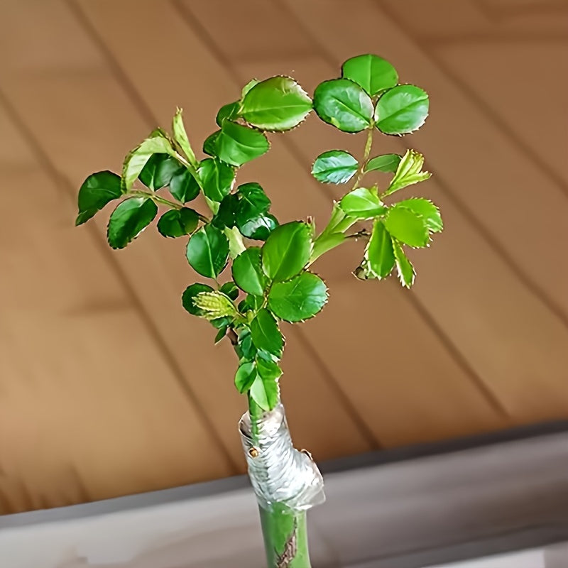 Durable Fruit Tree Grafting Tape 215m Self-Adhesive Plant Wrap