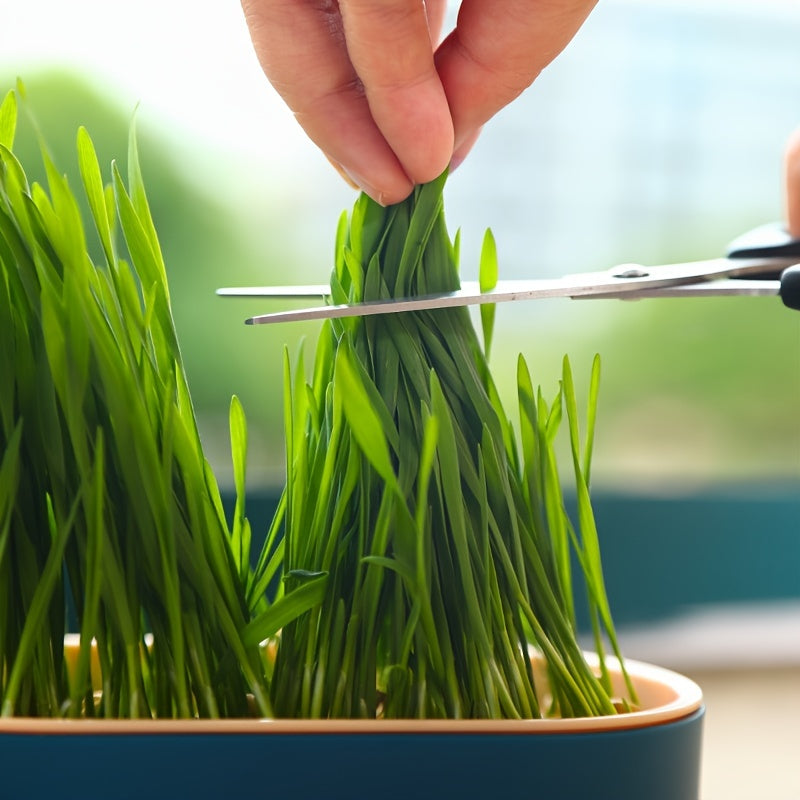 Hydroponic Grass Growing Pot for Improved Digestion and Health with Greenhouse Grow Box