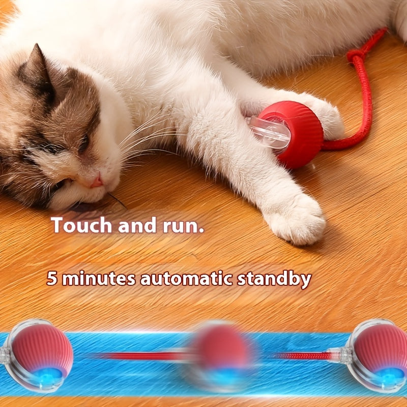 Interactive Cat Toy with Sound and Rechargeable Durable Ball for All Breeds