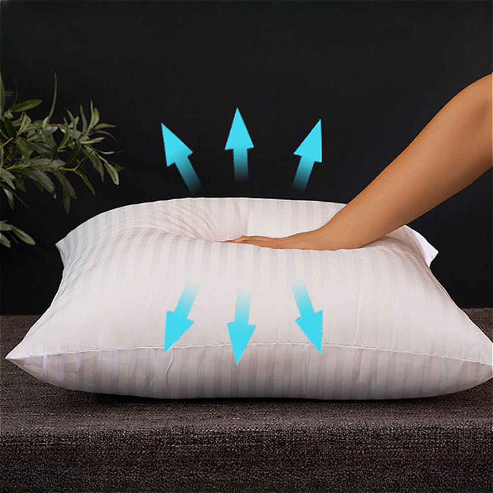 Automotive Inspection Service for Vehicles with Certified Inspection