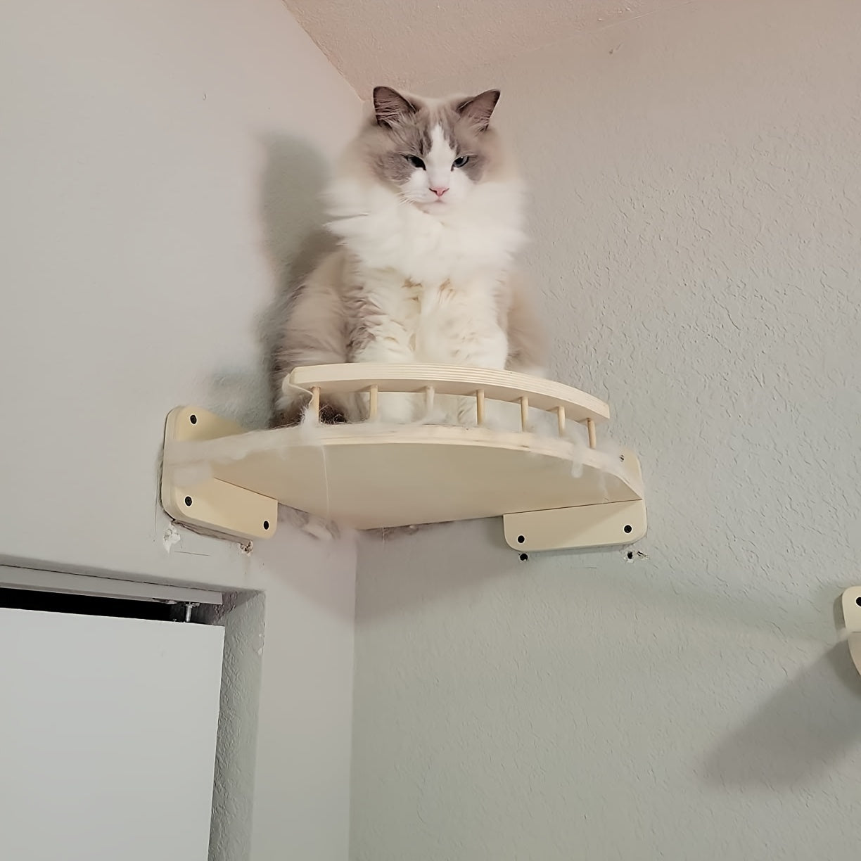 Wall-Mounted Cat Perch Made of Solid Wood for Climbing and Lounging