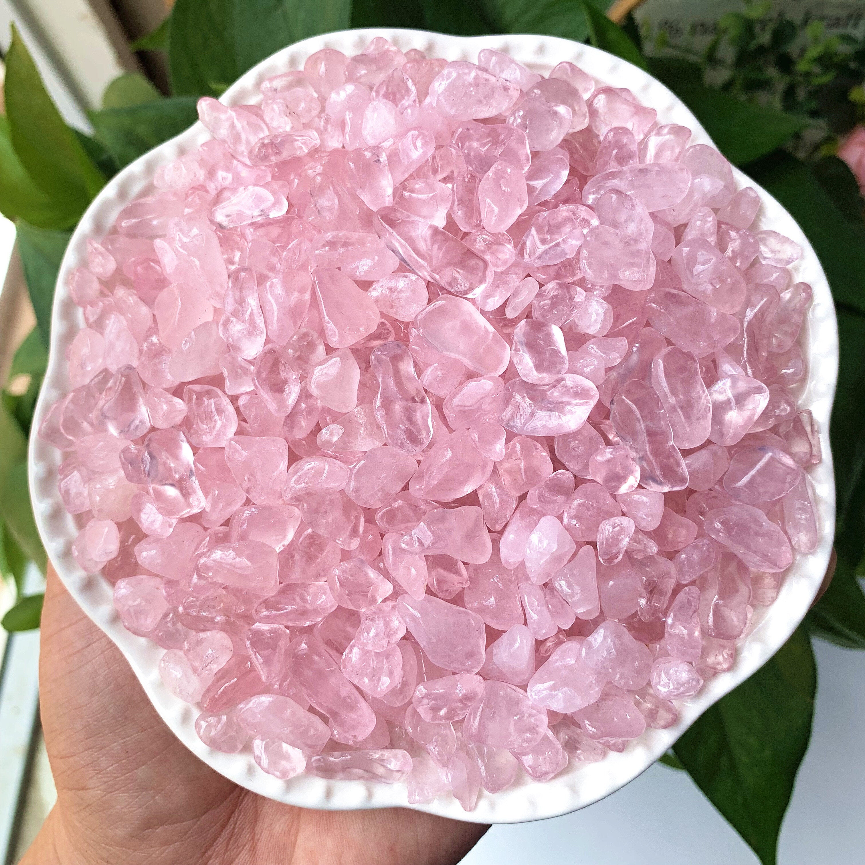 Natural Rose Quartz Chips 50g 100g for Healing and Decoration in Plants and Terrariums