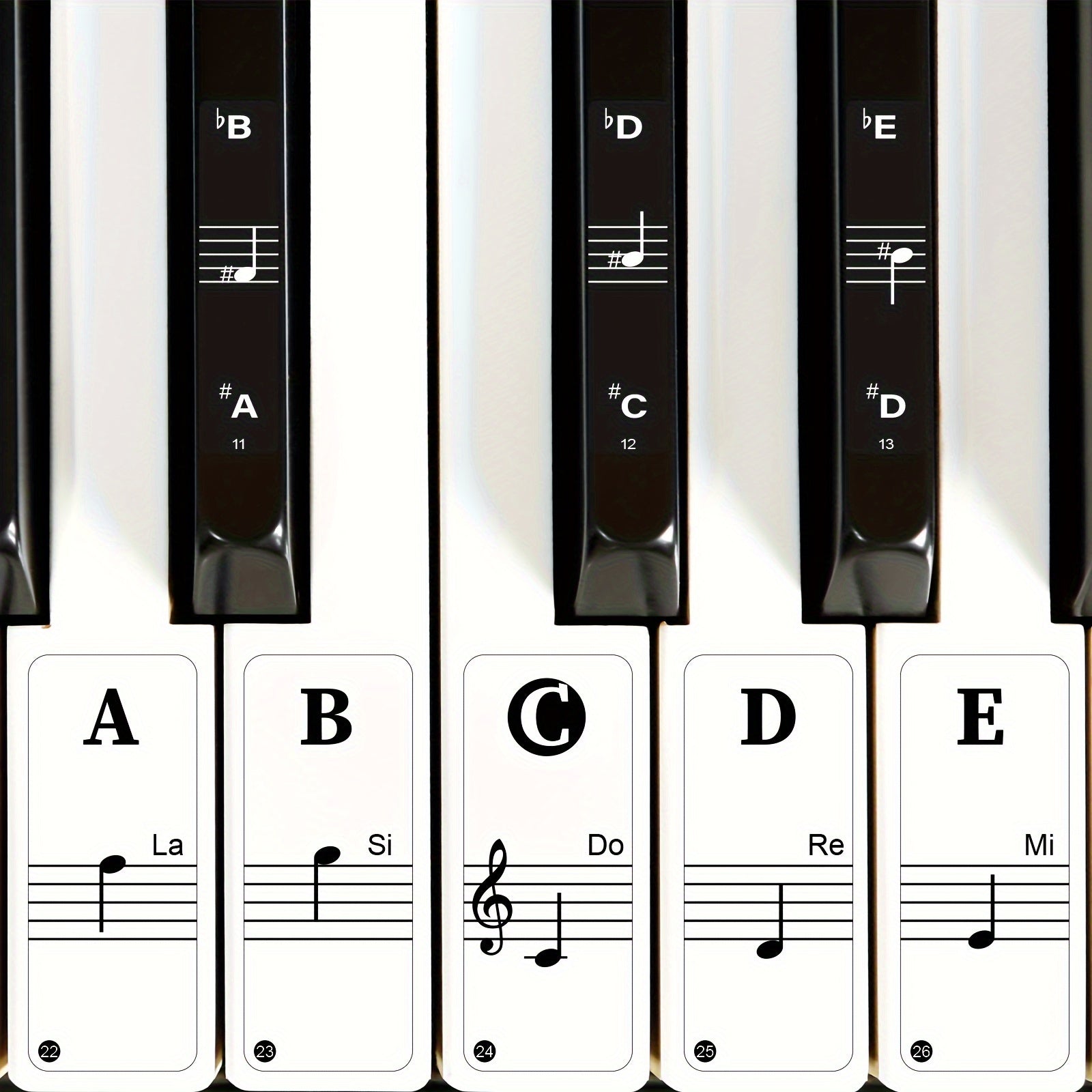 Black PVC Piano Key Stickers for Beginners Removable Durable Fits 88 61 54 49 Keys