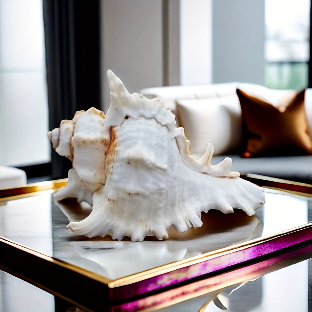 Natural Seashells for Aquarium Decor Fish Tank Landscaping