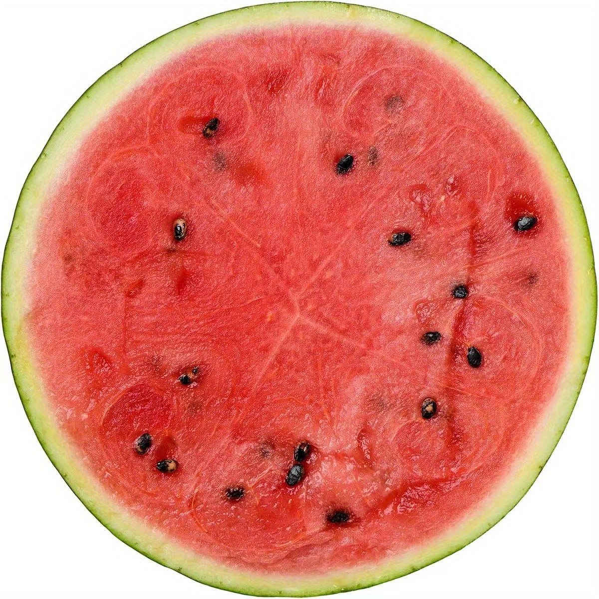 Flannel Food Print Blanket Soft Warm Multi-Functional for Couch Bed Camping Travel