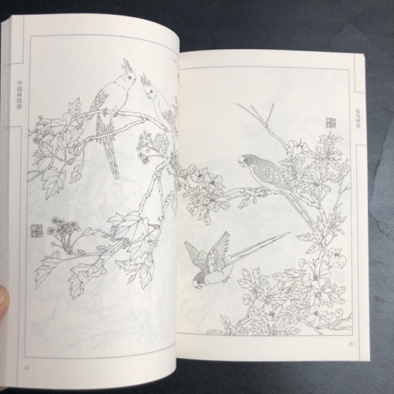 Chinese Flower and Bird Painting Manual with Line Drawings Art Book