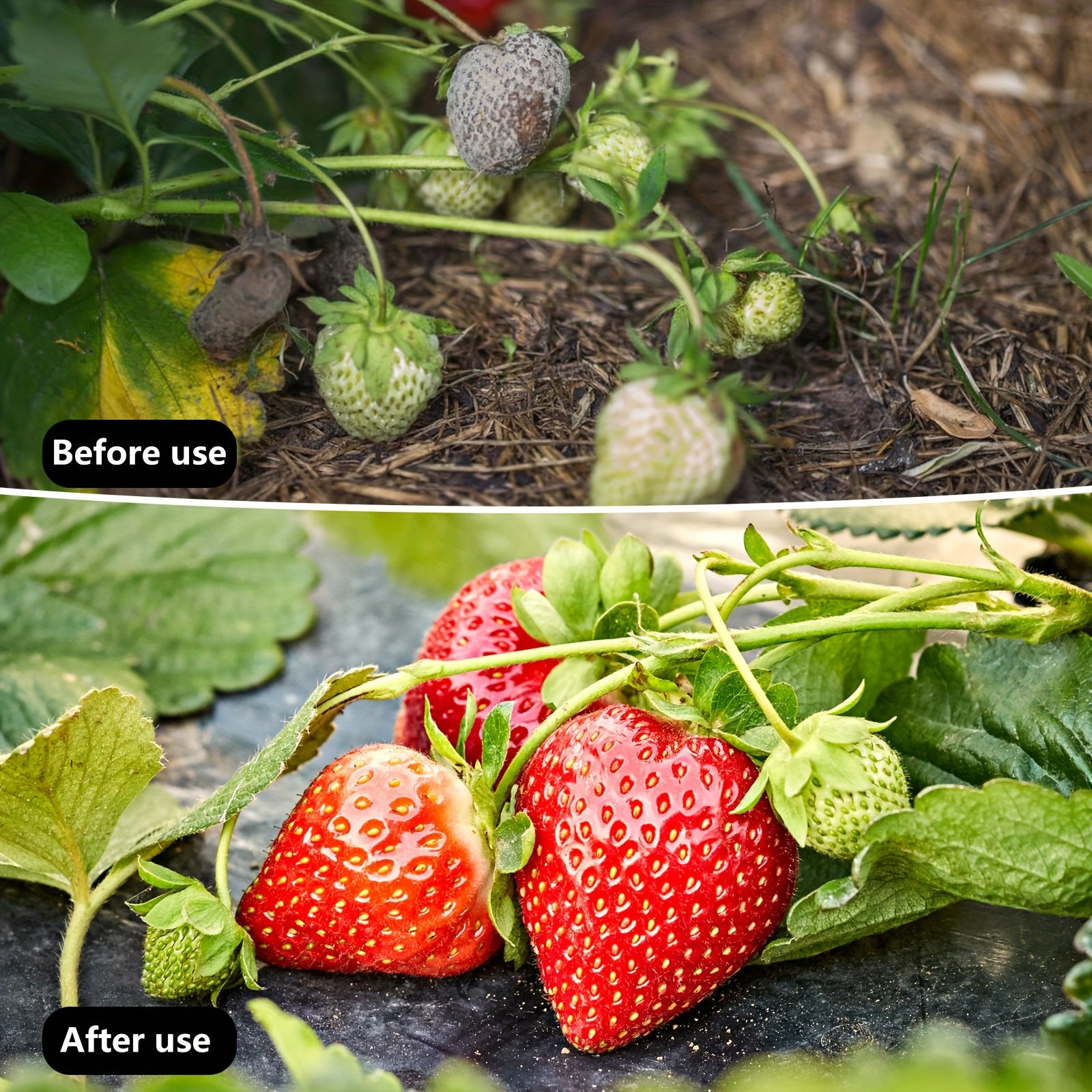 Black Thick PP Weed Barrier Fabric for Garden and Lawn Care