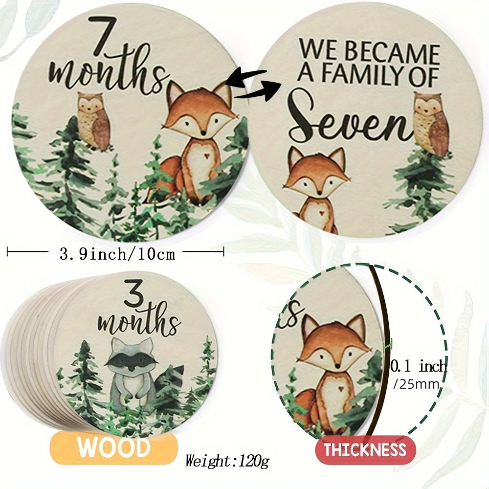 Juego de 12 tarjetas de hitos de madera para anuncios mensuales y seguimiento del crecimiento en fotografía