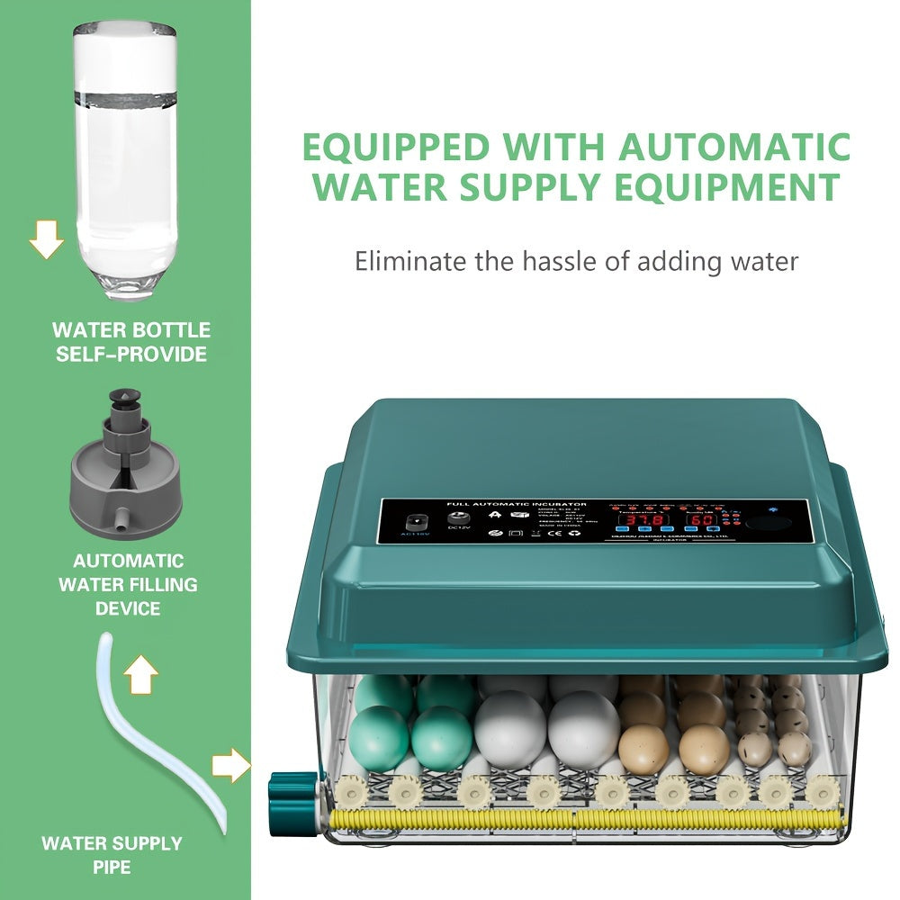 36-Egg Teal Digital Inkubator bilan sozlanadigan harorat, impulsli isitish, sovuq nurni chiqish