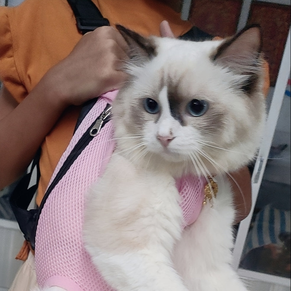 Pet Backpack for Small Dogs and Cats Breathable Mesh Zipper Carrier with Comfort Straps