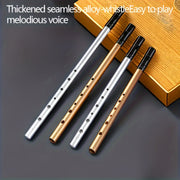 Ирландская жестянка в тональностях C и D из металла, современная, золотая, серебряная, серая, музыкальный инструмент