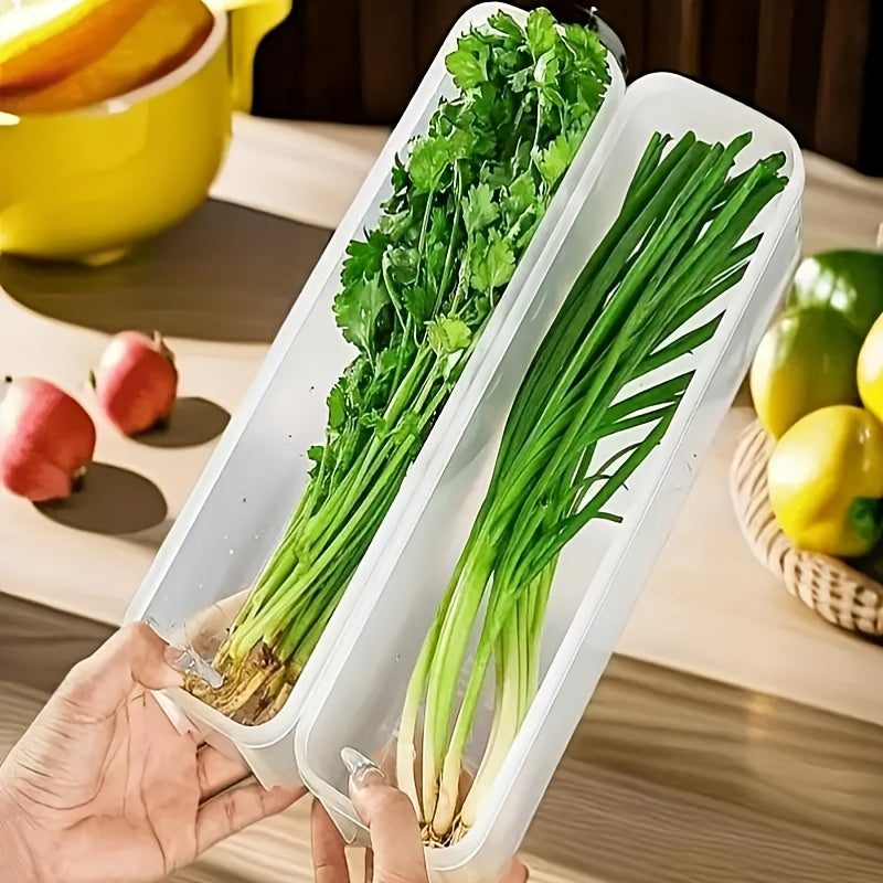 Plastic Food Storage Containers for Herbs Green Onions Mint Leakproof Stackable