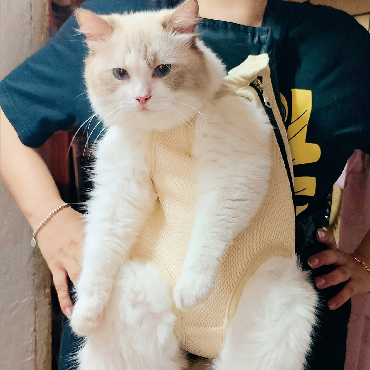 Pet Backpack for Small Dogs and Cats Breathable Mesh Zipper Carrier with Comfort Straps