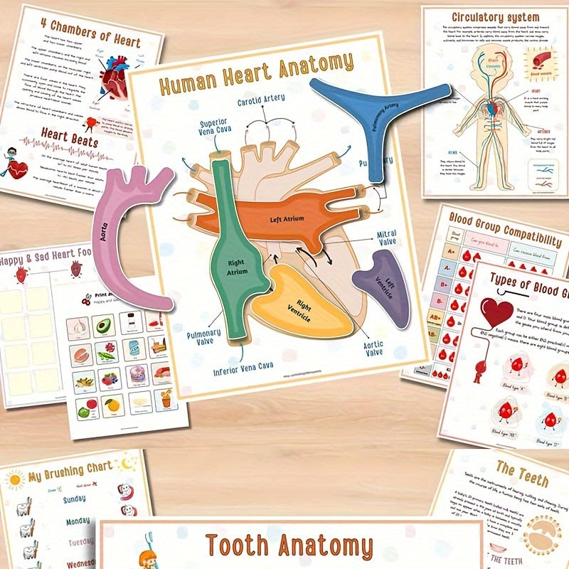 Human Anatomy Busy Book for Kids Interactive Organ Matching Educational Toy Travel Edition