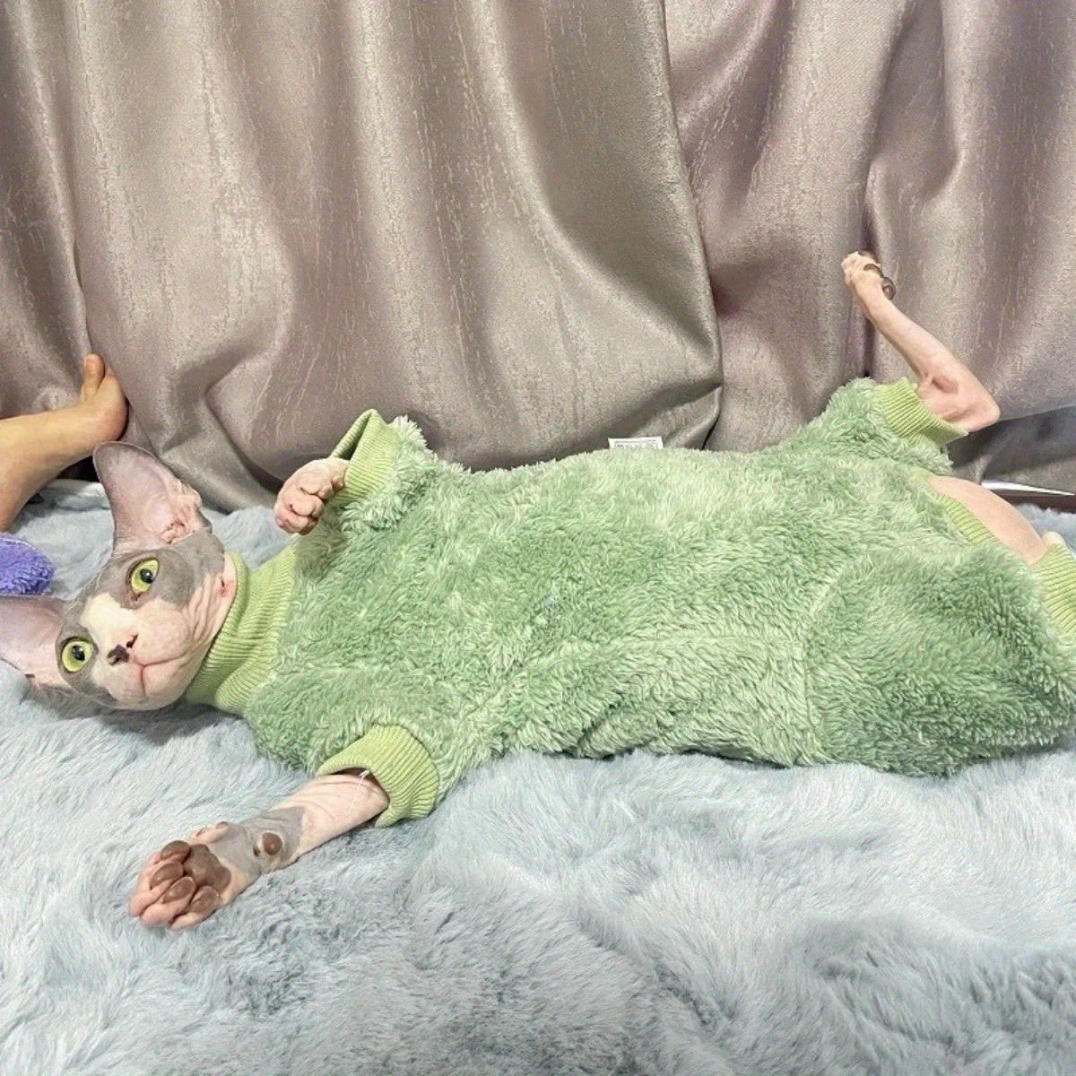 Вязаный свитер из стрейчевого велюра, разработанный для кошек породы Девон-рекс без шерсти.