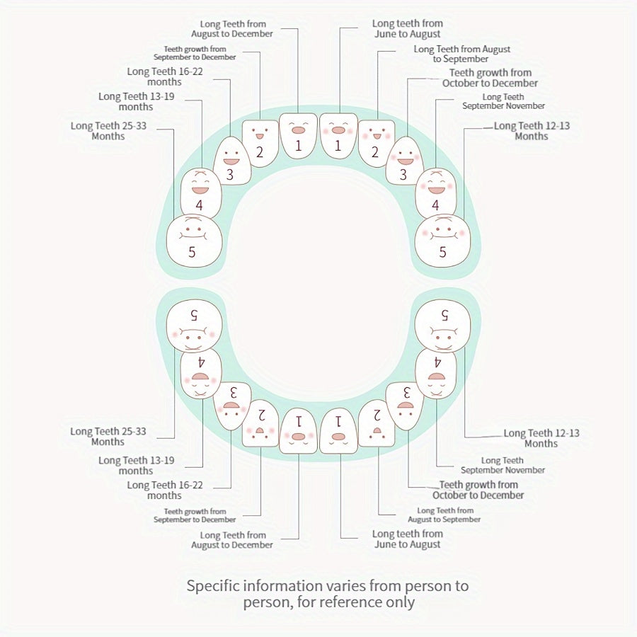 Kids Tooth Keepsake Box Bunny Shape ABS Resin Memory Storage for Children
