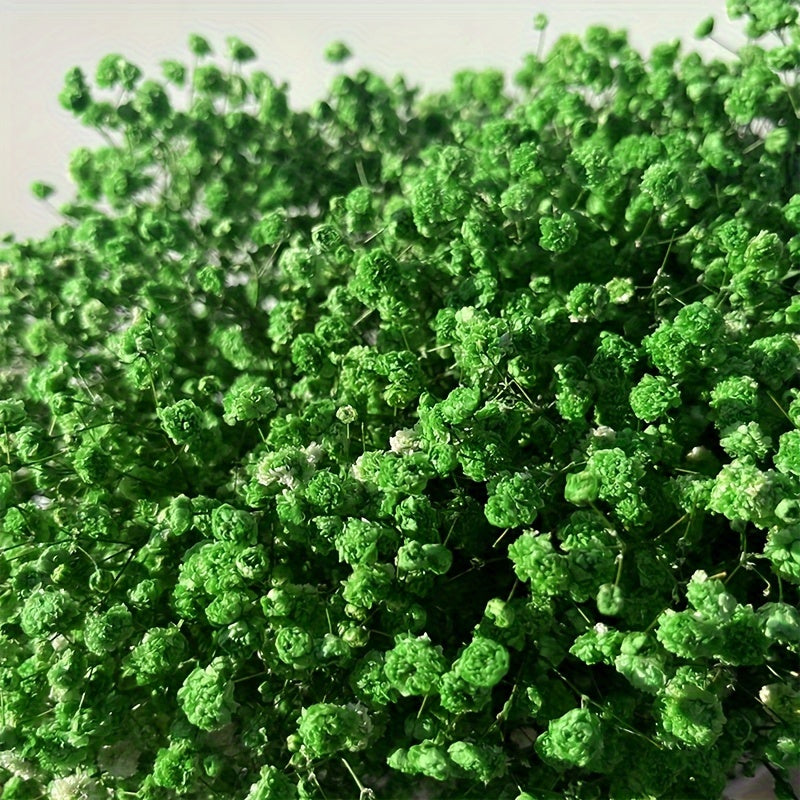 Коробка из 30 сохранившихся цветов для DIY-проектов, включая рамку для фотографий, плавающие цветочные материалы, свечи и тисненые цветы.