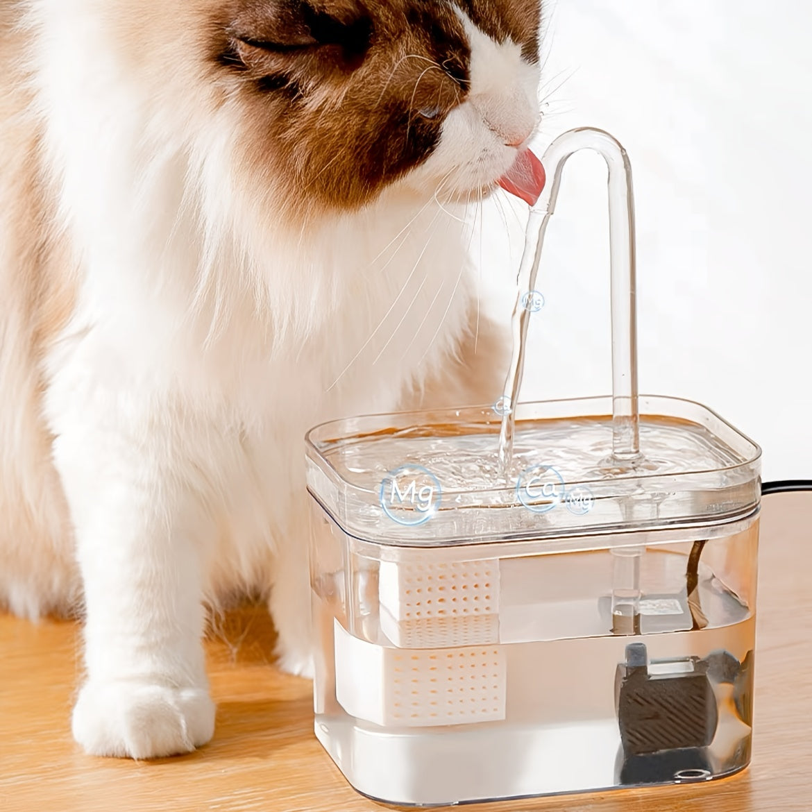 Transparent USB-Powered Pet Water Fountain for Indoor Cats and Dogs