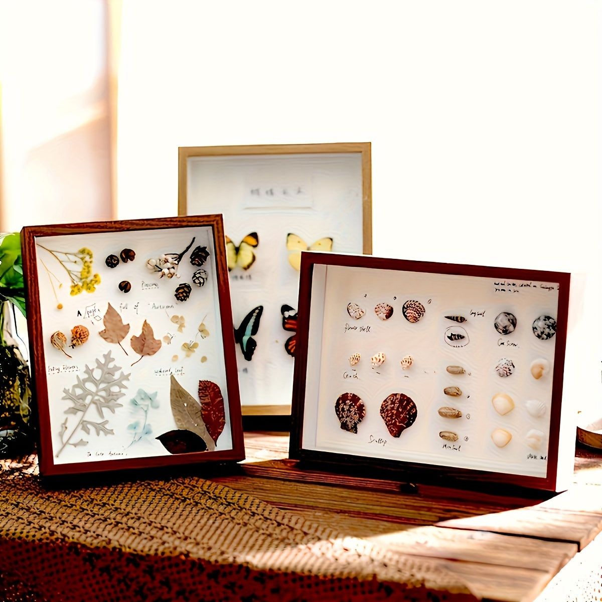 Wooden Display Frame for Dried Flowers and Keepsakes 3D Hollow Design