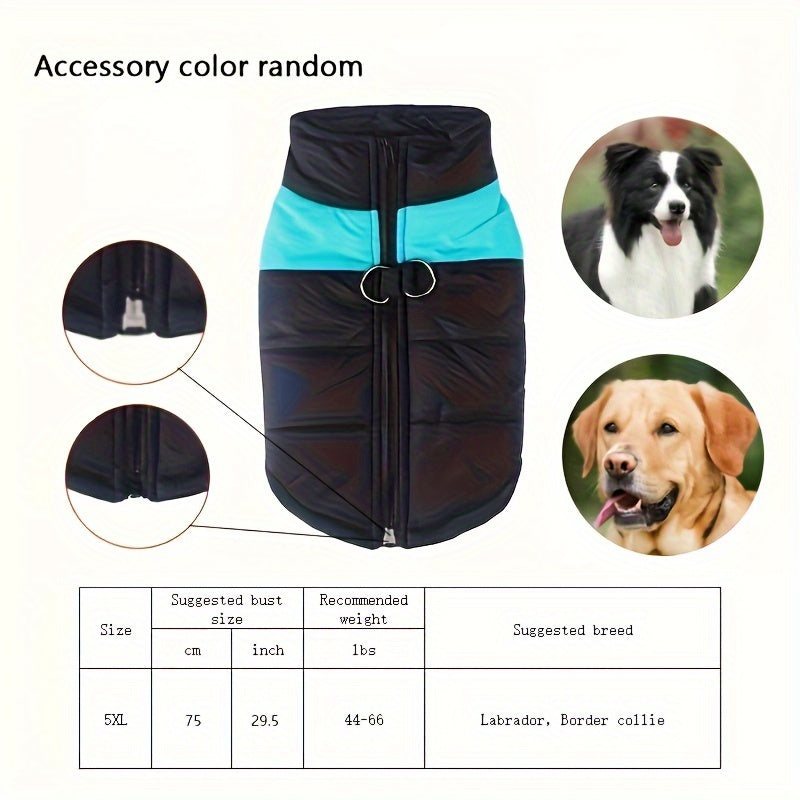 Windproof Winter Dog Jacket for Medium Breeds Polyester Zippered Warm Outdoor Apparel