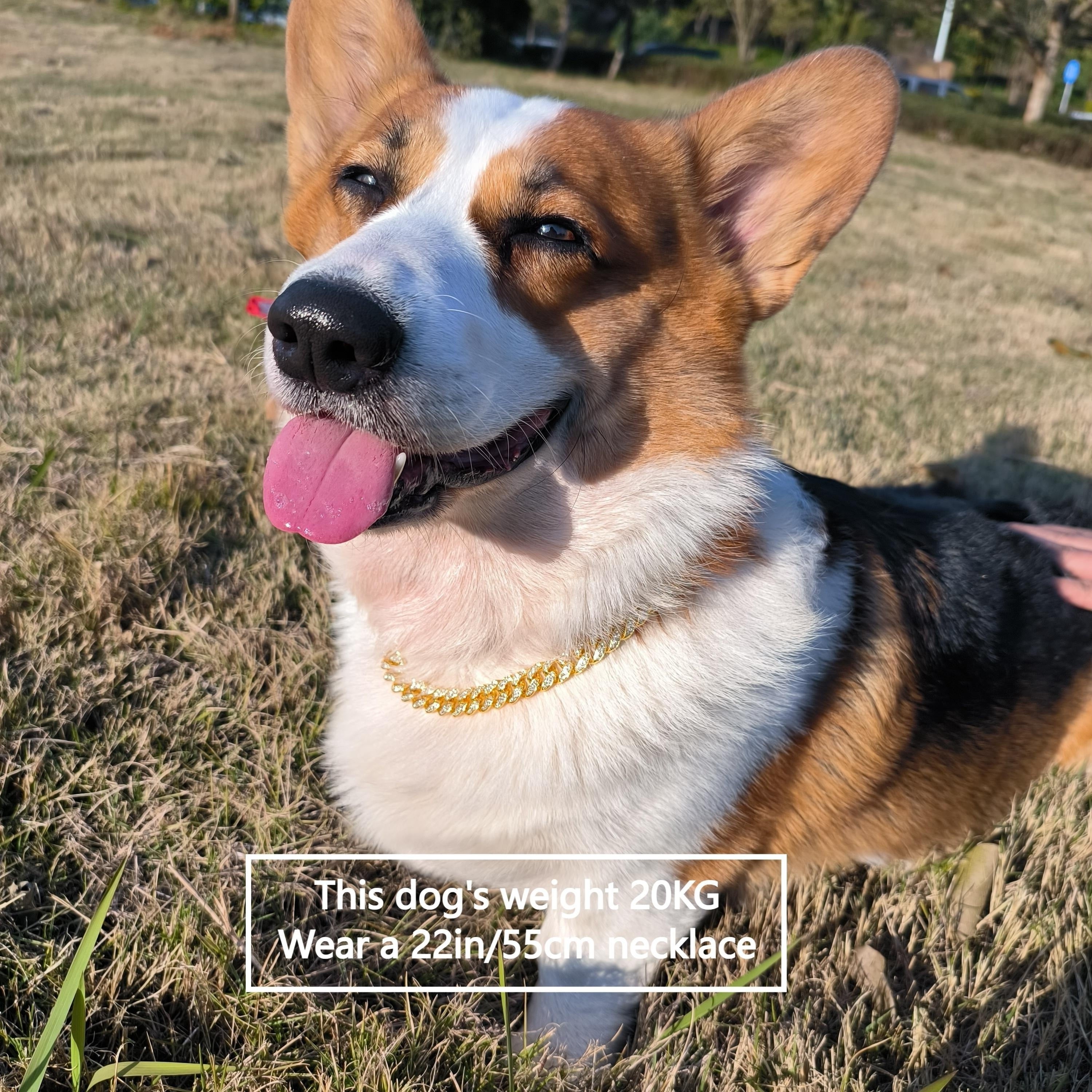 Dog Collar with Rhinestones Cuban Link Stainless Steel 13mm Wide Adjustable