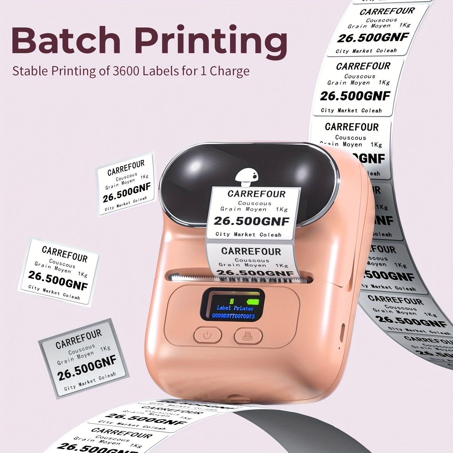 Thermal Label Printer Portable Wireless for Product Address Small Business DIY