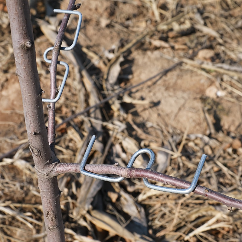 50-Piece Metal Fruit Tree Branch Bender Set for Shaping and Training Garden Tools