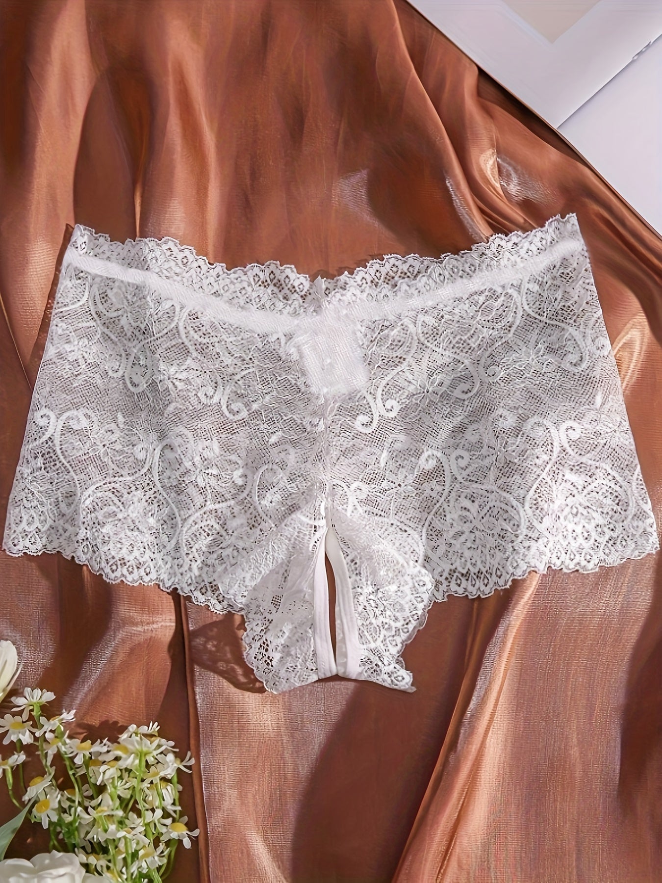 Women's Lace Low Waist Panties Sexy Erotic Lingerie for Women