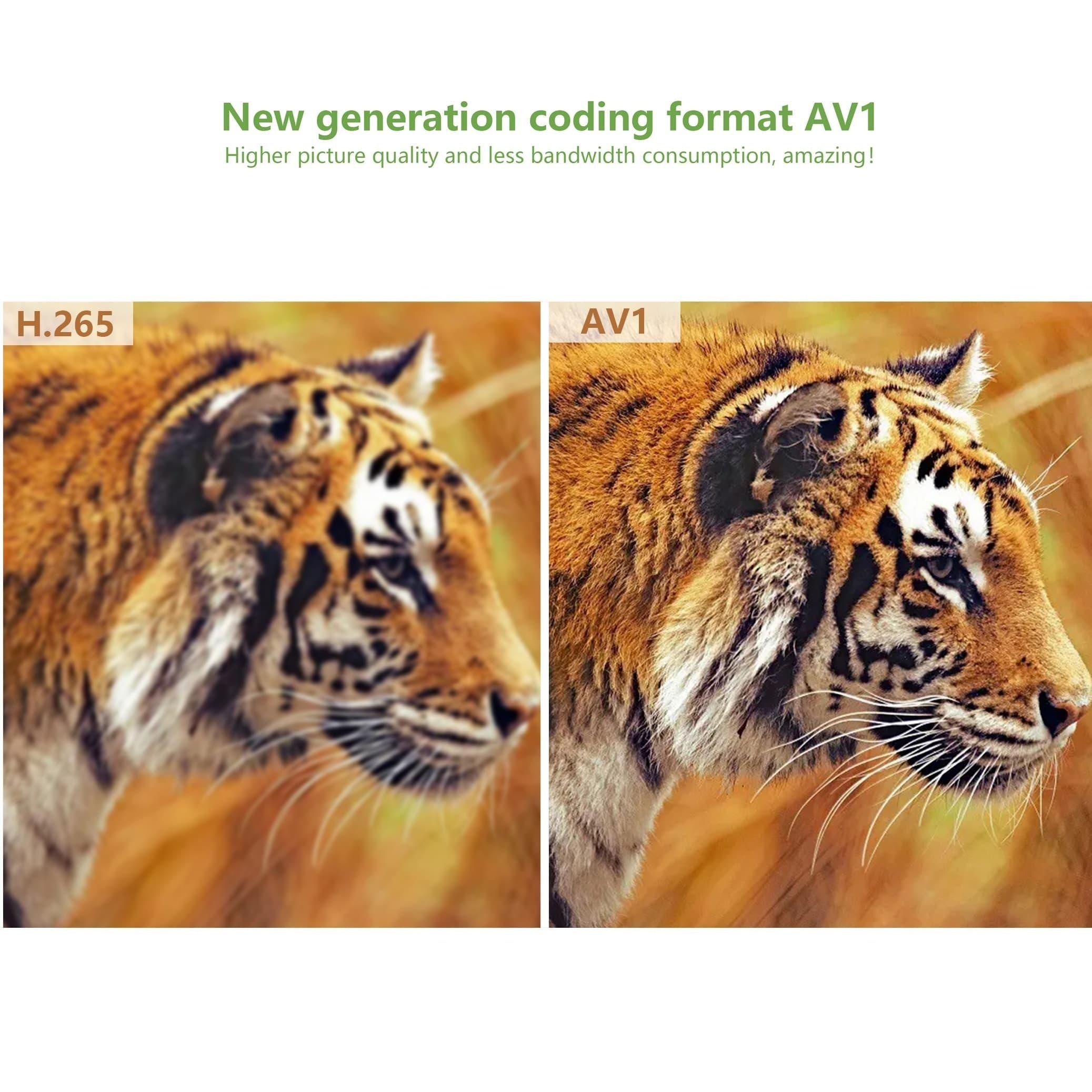 Smart TV Box with Android 11.0, 4K Support, Bluetooth, Dual WiFi, Multiple Storage Options