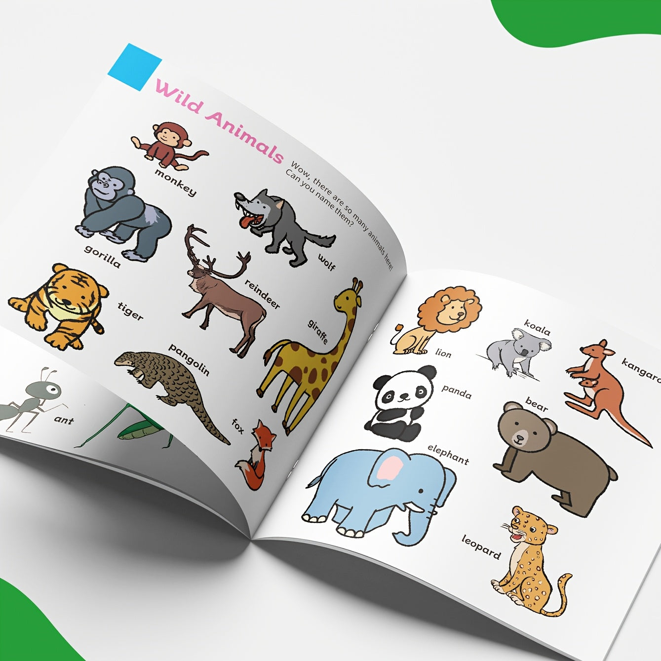 Libro de enciclopedia de animales para la exploración de la biodiversidad