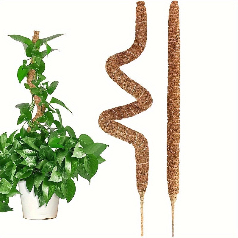 Set of Two Flexible Indoor Plant Support Poles for Climbing Plants