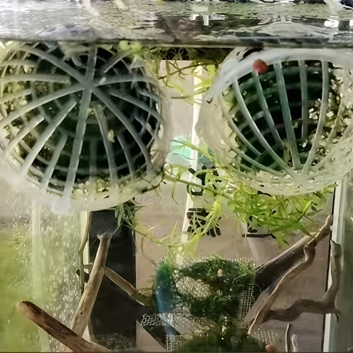 4pcs Moss Ball Holders for Fish Tank Decor High-Index Plastic Aquarium Accessories