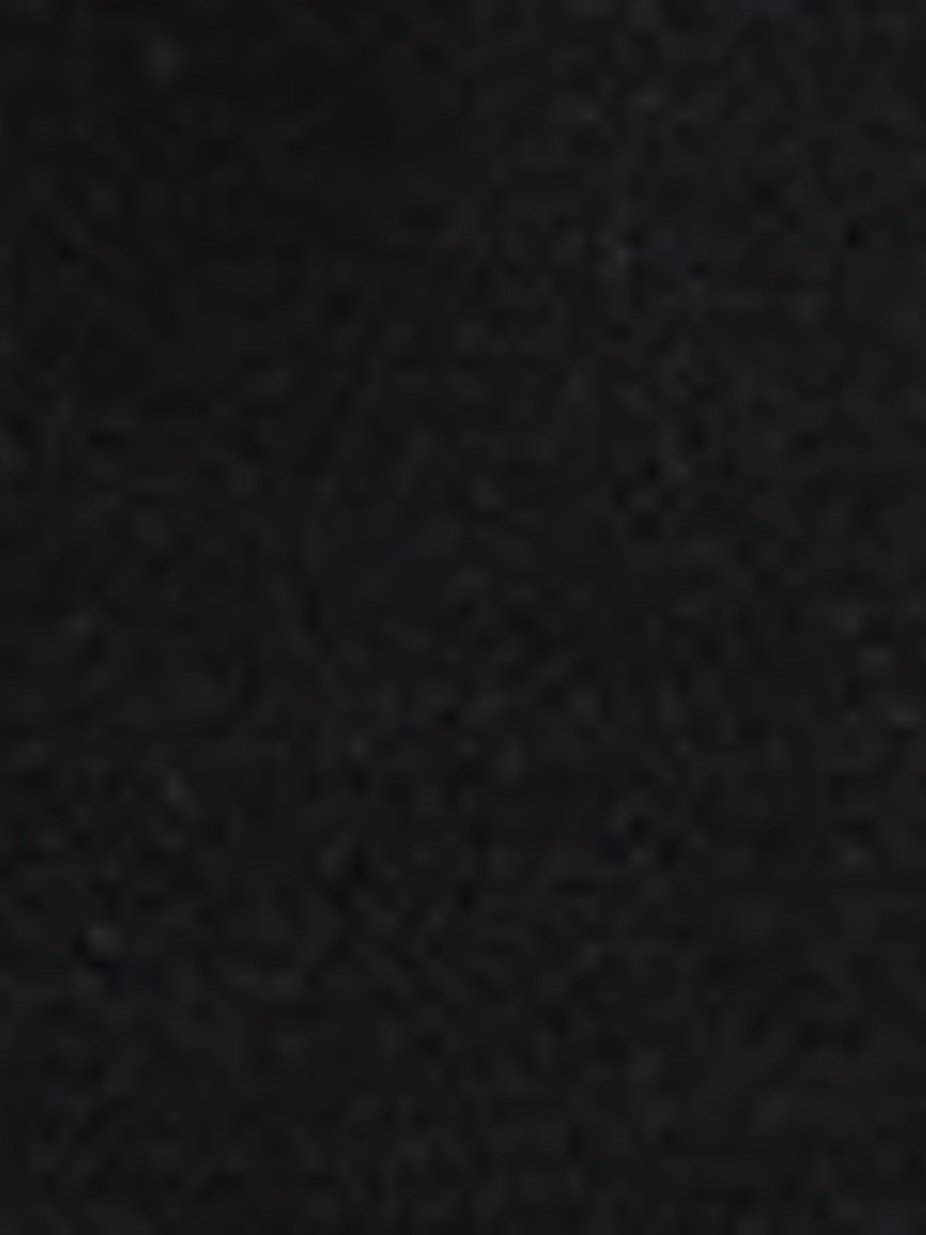 Qizlar uchun nafis 3-qismli to'plam, qisqa blazer, yengsiz kamizel va to'g'ri oyoq shimlaridan iborat, bir rangda. Bahor/kuz moda uchun ajoyib.