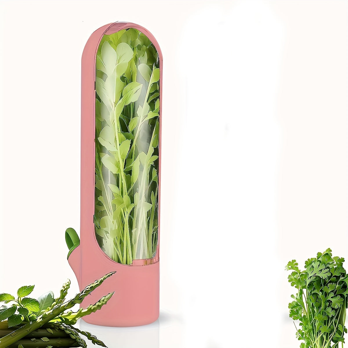 BPA-Free Plastic Herb and Vegetable Preserver with Easy-Open Water-Reducing Design