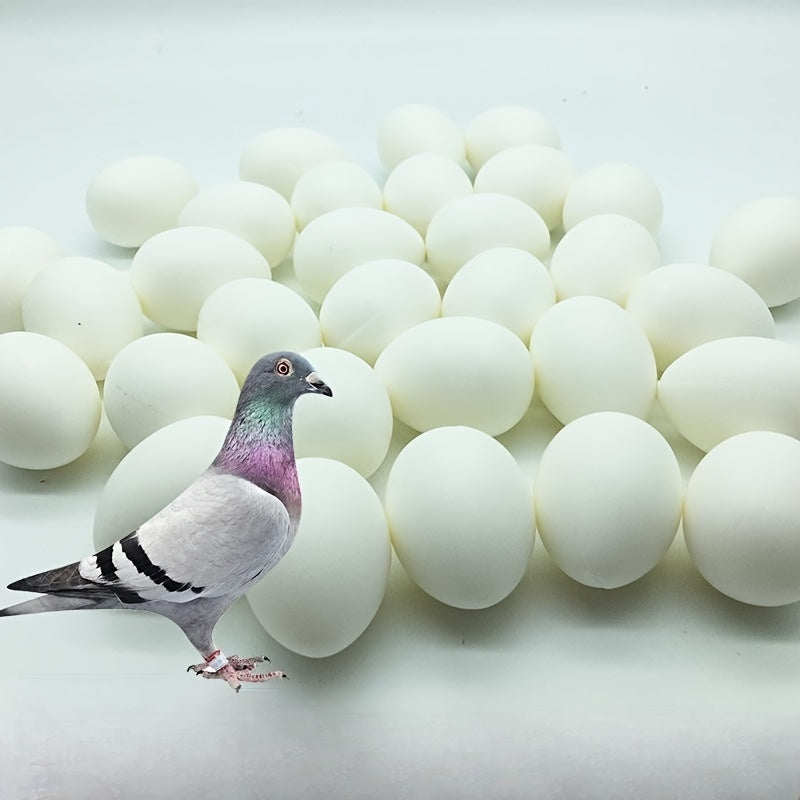10Pcs Plastic Fake Pigeon Eggs Lead Eggs for Breeding and Training