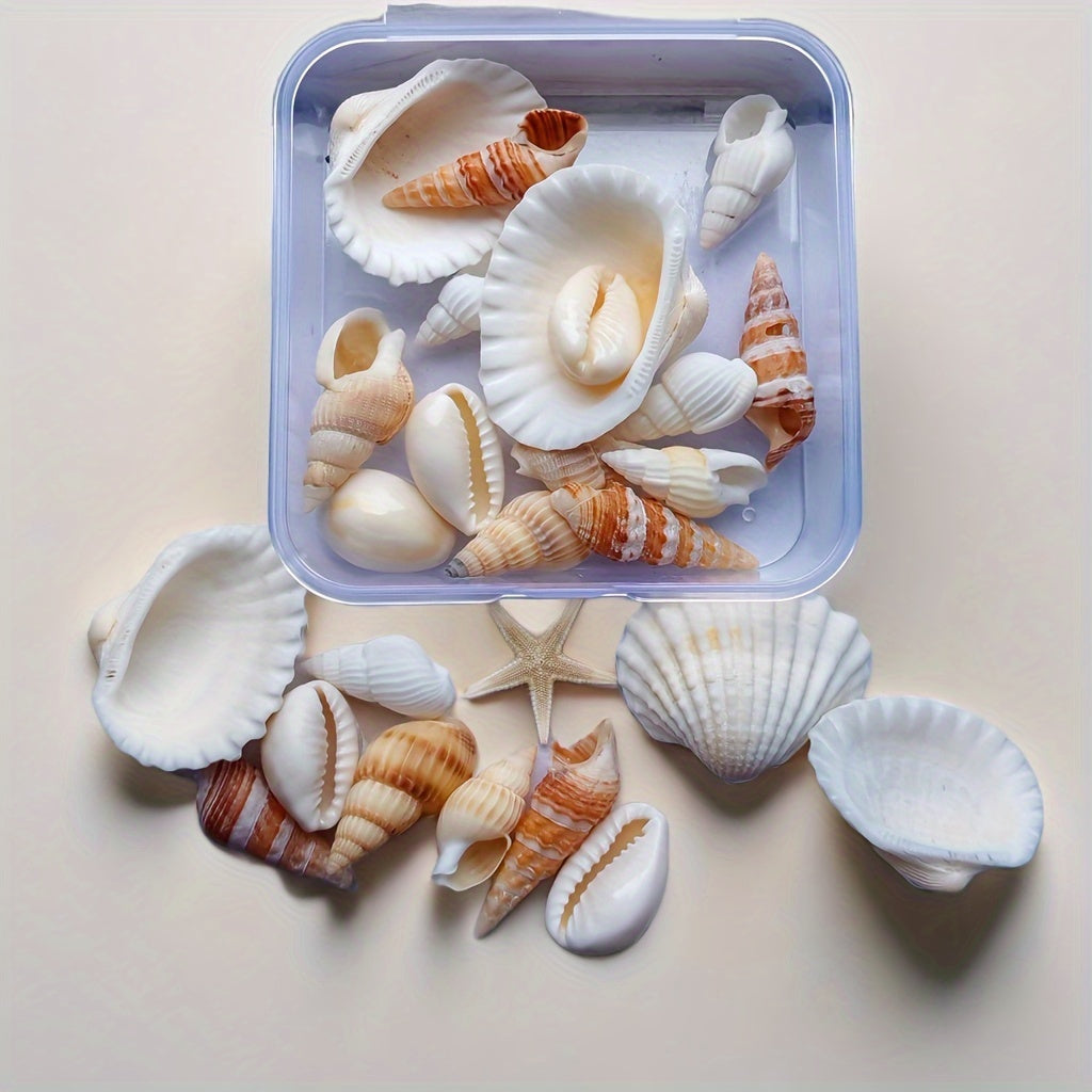 Seashell and Conch Mix for Aquarium Decor Fish Tank Ornaments Crafts