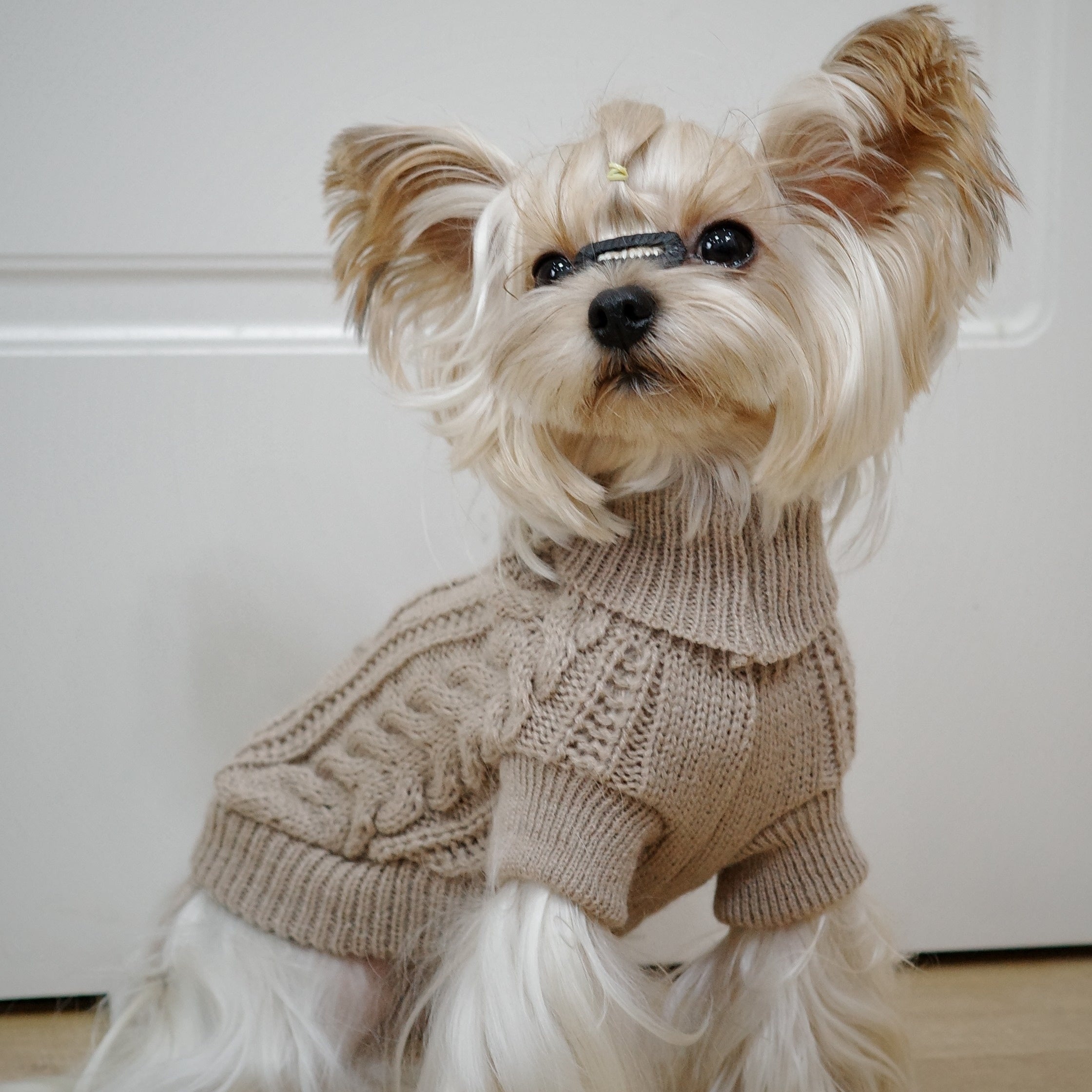 Knit Dog Hoodie with Floral Design All-Season Pullover for Small to Large Breeds