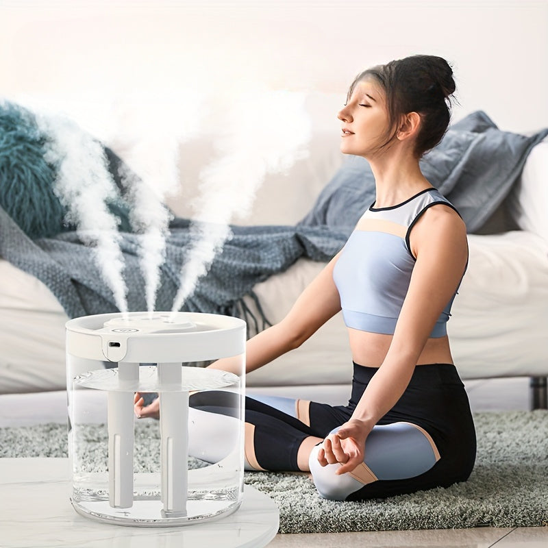 Ultrasonic Humidifier with Face Steamer USB-Powered Plastic Low Voltage for Home Office