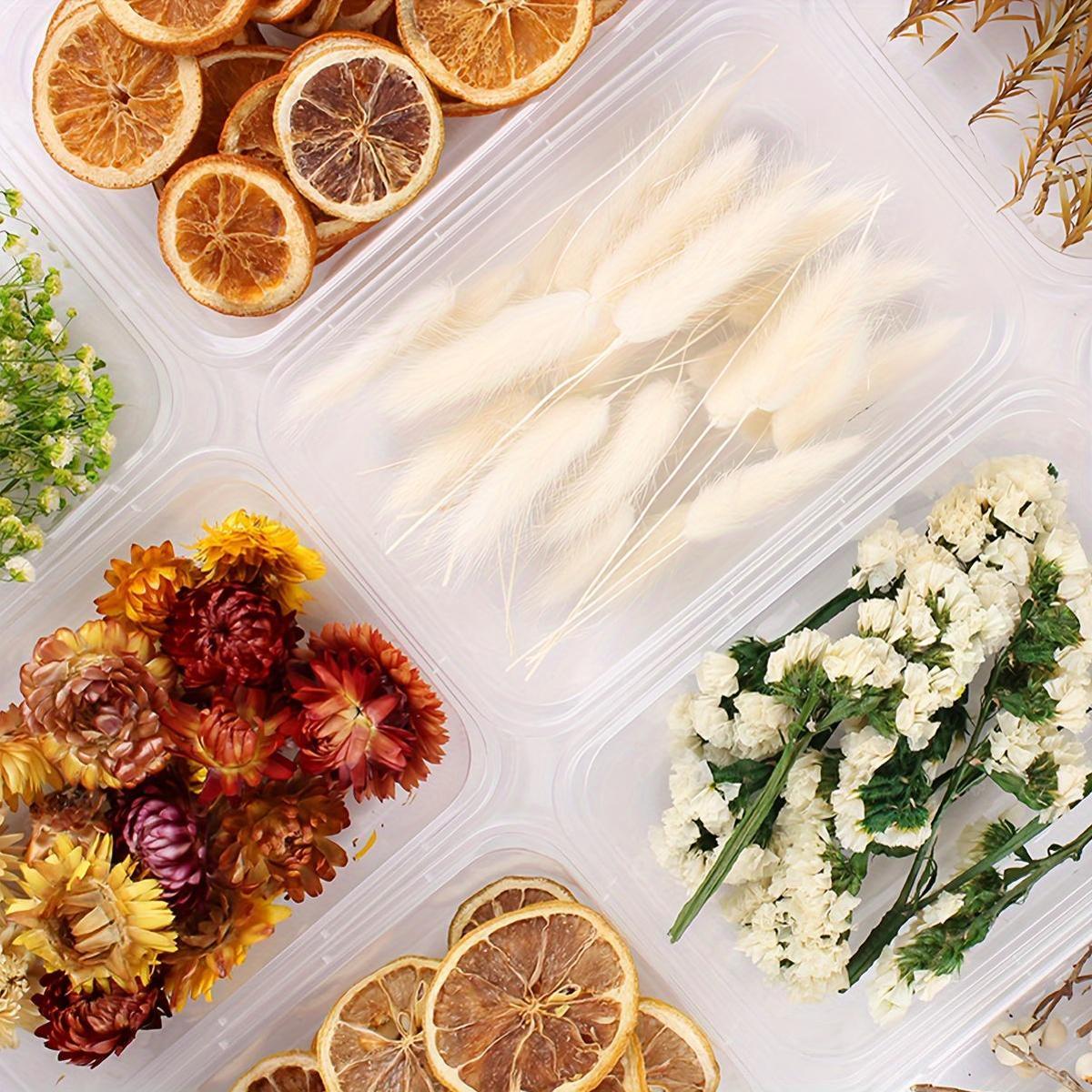 Бохо-Шик Рождественский Набор для Ремесел: Натуральный Растительный Декор для DIY Проектов, Венков и Подарков