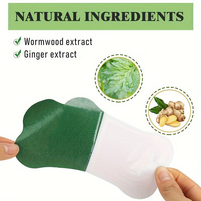 12 Yashil suyak lumbar plashlari yelka, bo‘yn, qo‘l, orqa, oyoq uchun