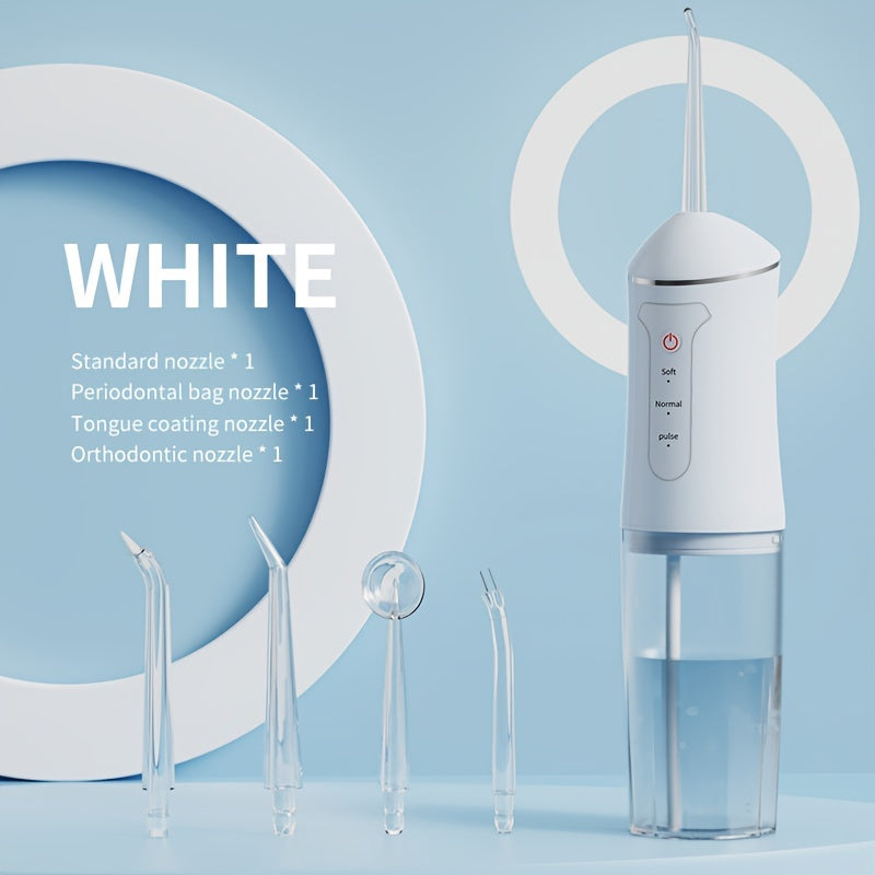 Portable Black USB Rechargeable Water Flosser Electric Oral Irrigator Travel Version