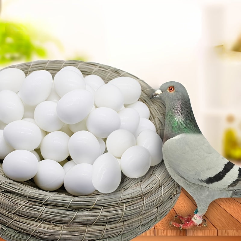 10Pcs Plastic Fake Pigeon Eggs Lead Eggs for Breeding and Training