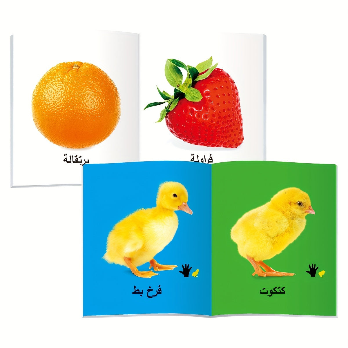 10 арабских детских книг из серии "Мое первое опознание" для детей от 4 лет и старше