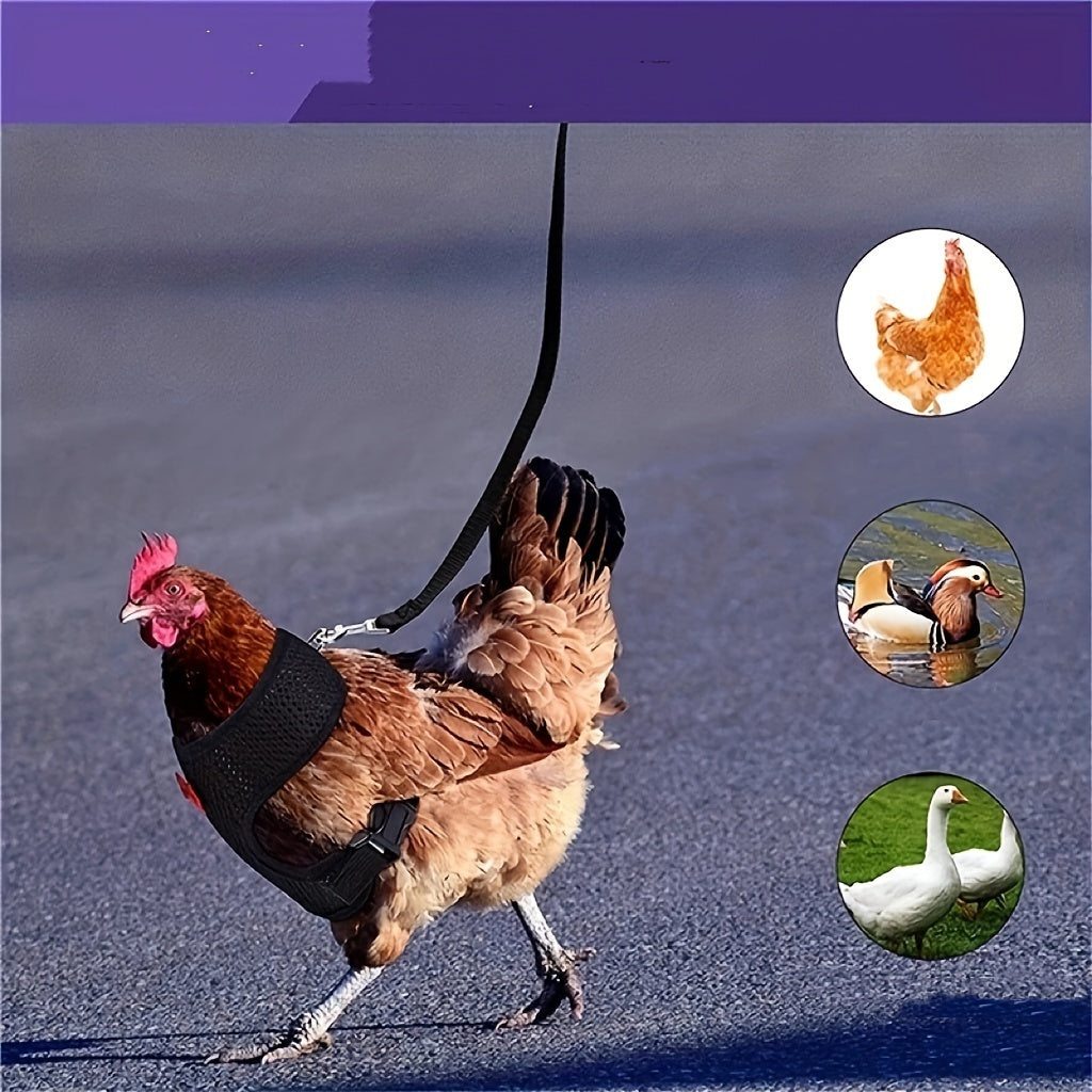 Arnés ajustable para pollo con correa para entrenamiento de aves de corral, chaleco transpirable