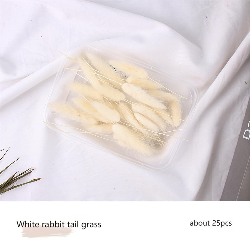 Бохо-Шик Рождественский Набор для Ремесел: Натуральный Растительный Декор для DIY Проектов, Венков и Подарков