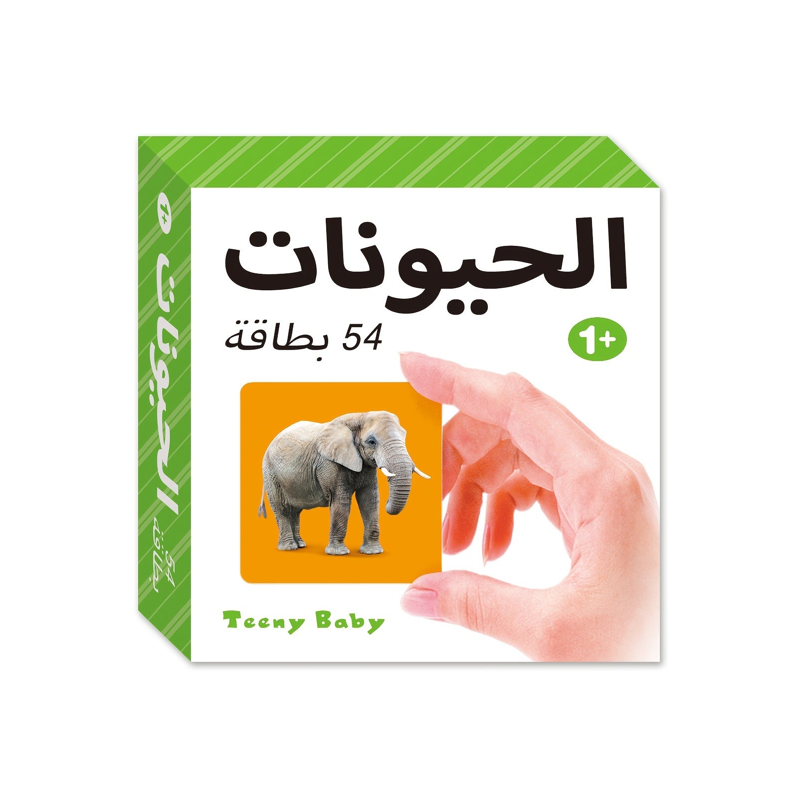 54-Card Arabic Language Learning Flashcards for Kids Ages 1-6 Educational Animal Vocabulary Set