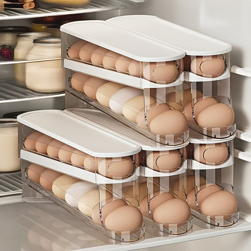 Double Layer Egg Storage Rack for Refrigerator Door Clear Plastic Organizer